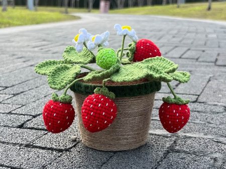 Crochet Strawberry Plants Online Sale